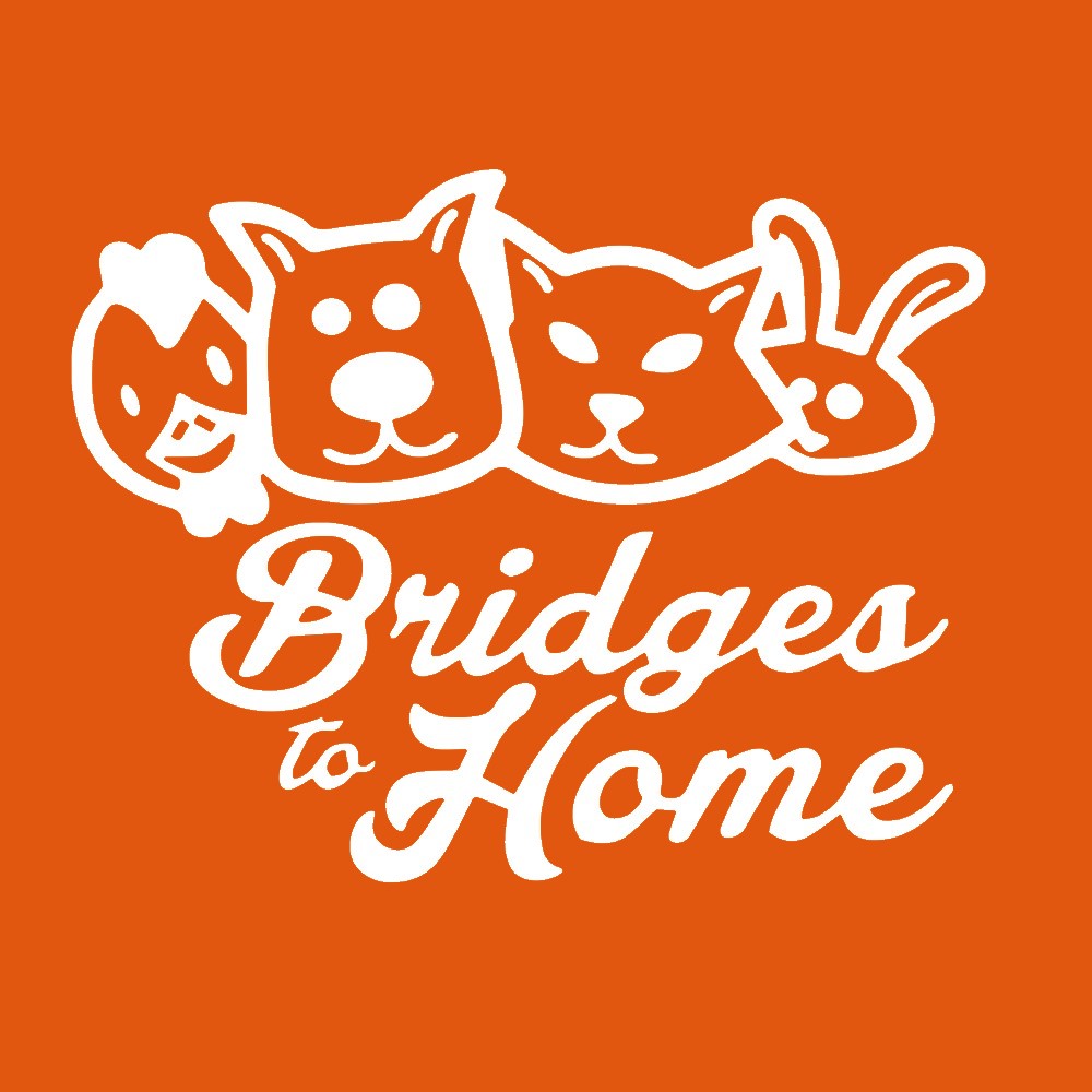 Bridges to Home - Application to Adopt